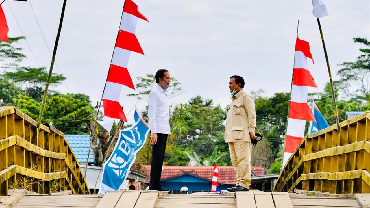 Presiden Jokowi Tinjau Lahan untuk Lambung Pangan Nasional