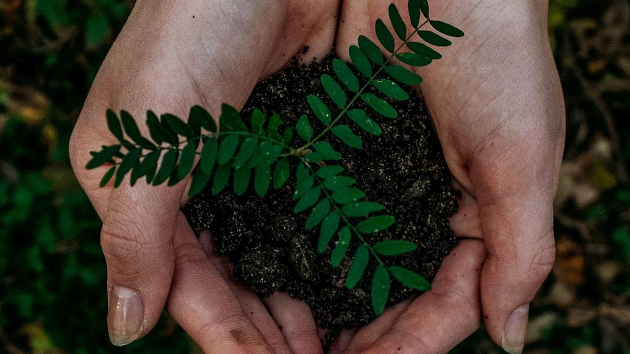 Komitmen Kurangi Emisi Karbon Lewat Program Pemberdayaan Masyarakat dan Lingkungan