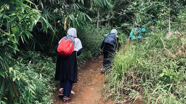 Ilustrasi mendaki. (Foto: Liputan6.com/Ade Nasihudin).