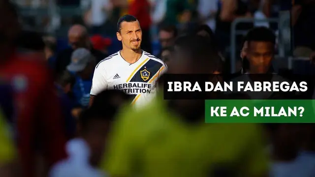 VIDEO: AC Milan akan Datangkan Ibrahimovic dan Fabregas pada Januari