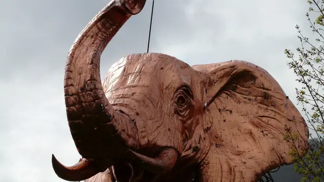 Ilustrasi Gajah Berwarna Merah Muda