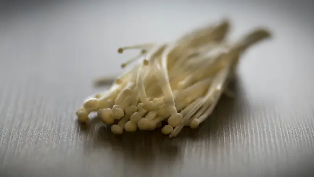 Jamur Enoki