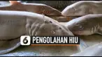 hiu thumbnail