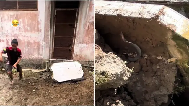 25 Tahun Belum Pernah Dibongkar, Pondasi Rumah Ini Jadi Sarang Ular dan Telurnya