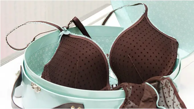 Courtesy ShutterStock.com