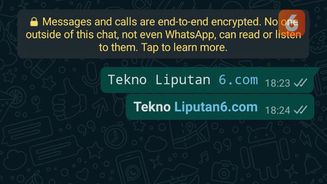 Tips WhatsApp agar format teks di chat tampak lebih tebal atau bold. (/ Yuslianson)