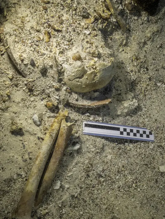 Kondisi kerangka manusia yang ditemukan perarian dekat Pulau Antikythera, Yunani, pada 6 September 2016. Kerangka manusia tersebut diyakini berusia sekitar 2.000 tahun.  (Greek Ministry of Culture/Reuters)