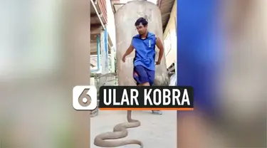 kobra breakdance