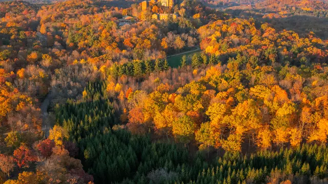 Holy Hill
