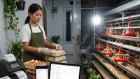 Top 3: Ide Ternak untuk Hidup Mandiri di Rumah Subsidi hingga Usaha Rumahan Tanpa Produksi
