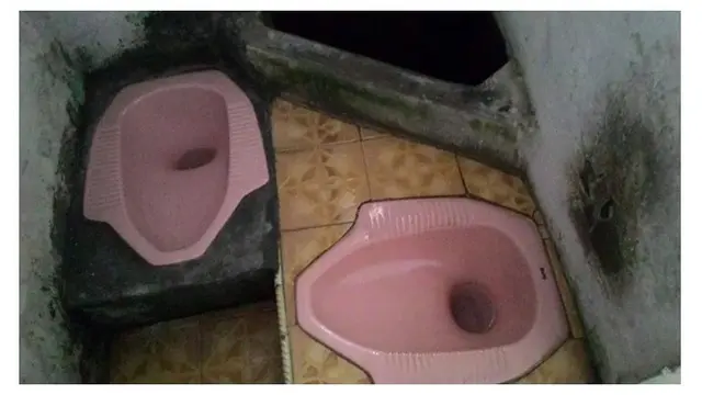 Toilet Nyeleneh (Sumber: Instagram/@selfiekamarmandi)