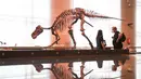Orang-orang mengamati dinosaurus yang dipamerkan di Museum Institut Ilmu Pengetahuan Alam Kerajaan Belgia di Brussel, Belgia (15/9/2020). Museum ini membuka rute satu arah baru untuk menawarkan kepada publik cara yang aman untuk berkunjung di tengah pandemi COVID-19. (Xinhua/Zheng Huansong)