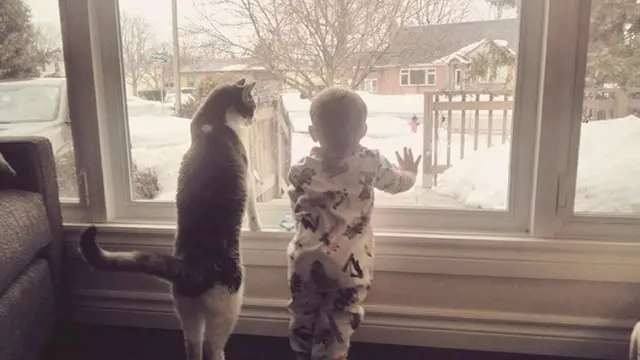 7 Potret Menggemaskan Balita Saat Bersama Hewan Peliharaan, Kompak Banget