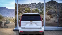 Bagian belakang juga tidak kalah keren. Mobil ini menggunakan Stoplamp LED yang berkonsep "Light Blade". Lampu ini berbentuk memanjang ke bagian atas mobil dan berakhir pada bagian spoiler. Spoiler yang terletak di bagian belakang mobil juga membuat mobil terlihat sporty. Tak hanya itu, mobil ini memiliki kapasitas bagasi yang luas. (Source: cadillac.com)