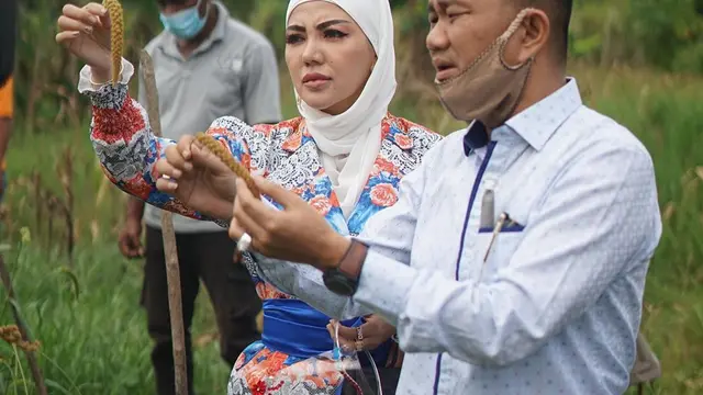 7 Gaya Bella Shofie Panen Padi Hotong di Pulau Buru Ini Jadi Sorotan