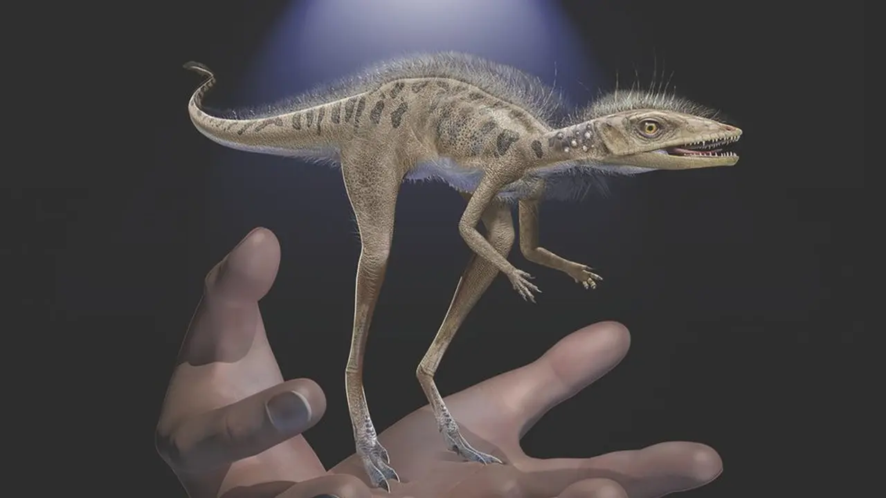 Ilustrasi dinosaurus mini Kongonaphon kely.