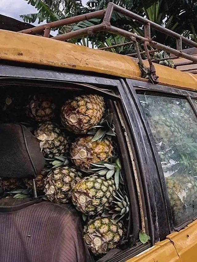 7 Potret Aksi Orang Borong Saat Belanja Ini Bikin Bertanya-tanya