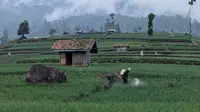 Kasus Bunuh Diri Terbanyak Berdasarkan 5 Jenis Profesi, Petani di Urutan Pertama