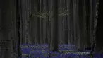 Tumbuhan baru di pohon dikelilingi bunga Bluebell, juga dikenal sebagai eceng gondok liar, saat mekar di hutan Hallerbos di Halle, Belgia, pada Senin (17/4/2023). (AP Photo/Virginia Mayo)