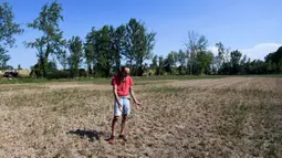 Petani Achille Crespiatico melihat kerusakan pada padang rumputnya akibat kekeringan parah di Spino d'Adda, Italia, 11 Juli 2022. Italia dilanda kekeringan terburuk dalam 70 tahun. (Piero CRUCIATTI/AFP)