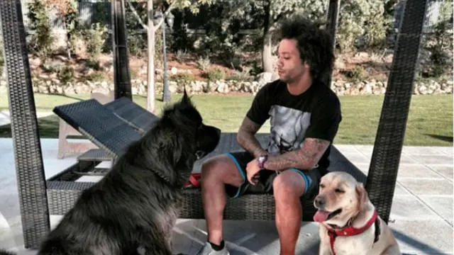 Marcelo (Real Madrid) dan dua anjingnya