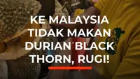 Ke Malaysia Tidak Makan Durian Black Thorn, Rugi!