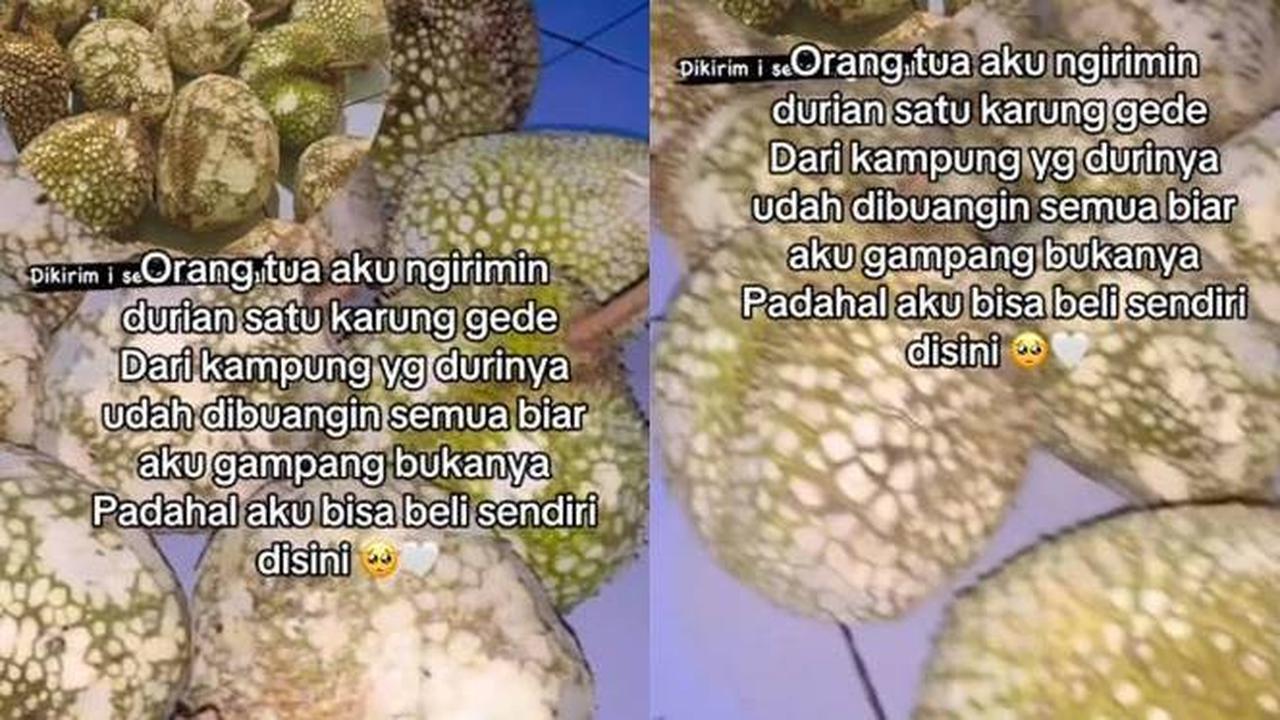 Viral, Orang Tua Kirim Durian untuk Anak dengan Duri yang Sudah Dibuang Ini Kocak