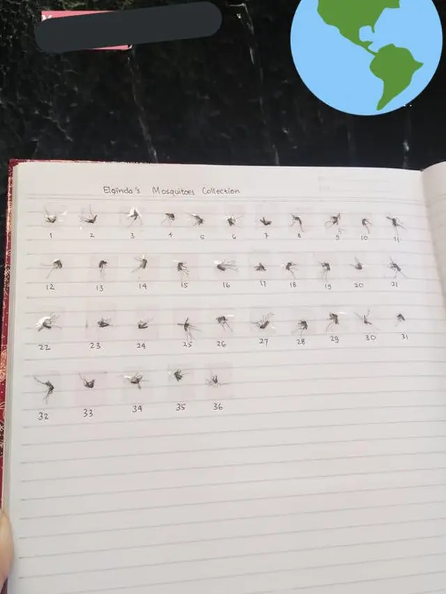 6 Catatan Nyeleneh Koleksi Nyamuk Mati di Buku Ini Bikin Heran