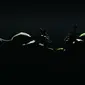 Kawasaki pamer teaser Ninja 125 dan Z125 di EICMA, Milan, Italia. (Visordown)