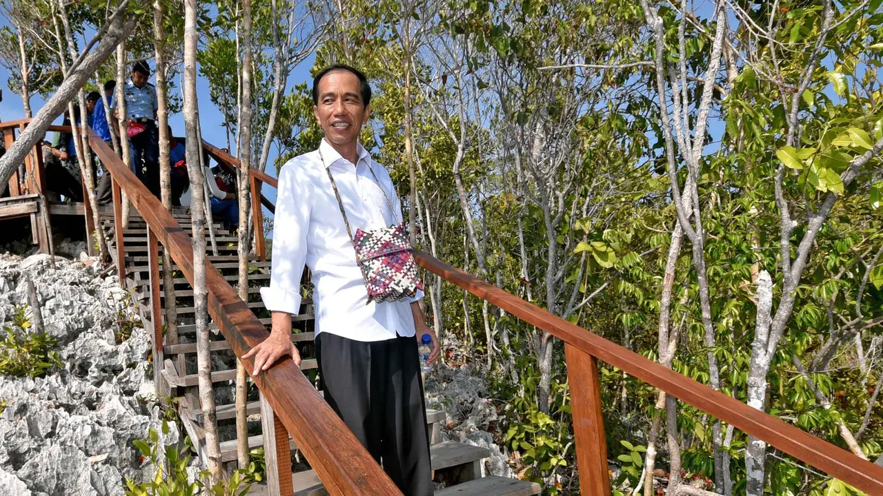 20160101-Presiden Jokowi Nikmati Hari Pertama 2016 di Raja Ampat-Papua