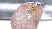 Potret yang dirilis oleh Lucapa Diamond Company Limited pada 27 Juli 2022 menunjukkan berlian pink 170 karat - dijuluki The Lulo Rose - yang ditemukan di tambang Lulo di wilayah timur laut yang kaya berlian di Angola. (HANDOUT / LUCAPA DIAMOND COMPANY LIMITED / AFP)