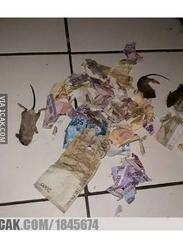 6 Momen Apes Saat Dapat Uang Ini Bikin Ngelus Dada