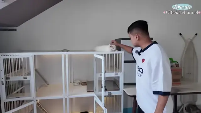 Potret rumah Jirayut di Indonesia (Foto: YouTube Jirayut Official Channel)