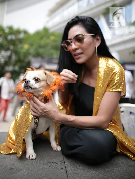Pengunjung membawa anjingnya dalam festival Dog Does Disco "Pawards" di Central Park Mall, Jakarta, Minggu (28/4/2019). Kegiatan dengan tujuan sebagai tempat bagi para pecinta anjing berkumpul ini dimeriahkan dengan beragam kompetisi untuk peliharaan dan juga talkshow. (Liputan6.com/Faizal Fanani)