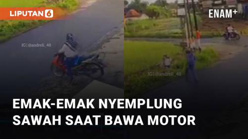 VIDEO: Kurang Fokus, Emak-Emak Nyemplung Sawah Saat Bawa Motor Bebek