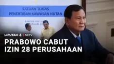 Izin usaha 28 perusahaan dicabut karena terbukti melanggar dan merusak lingkungan di wilayah hutan sumatra. Keputusan itu diambil usai Presiden Prabowo Subianto menggelar rapat terbatas di London bersama Satuan Tugas Penertiban Kawasan Hutan Nasional...