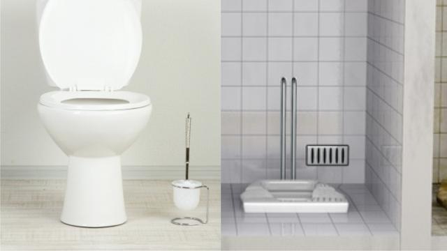 Toilet Duduk vs Toilet Jongkok