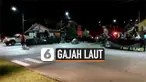 vertical gajah
