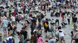 Sejumlah pengunjung berdesakan untuk berburu kerang di pantai kawasan Yokohama, dekat Tokyo, Senin (30/4). Ribuan orang membanjiri pantai selama Golden Week atau periode liburan di Jepang pada akhir April hingga awal Mei. (AP/Koji Sasahara)