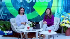 Saksikan berita kriminal dan peristiwa menarik di Fokus Pagi (12/12) dengan pilihan topik utama sebagai berikut, Bentrokan antar Dua Suporter Sepak Bola, Penyekatan Ganjil-Genap Kendaraan, Pohon Tumbang Timpa Mobil, Tak Kuat Menanjak, Bus Terguling.