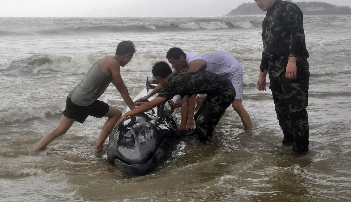 Terjangan topan Rammasun yang melanda Tiongkok, (19/7/2014), membuat seekor ikan paus terdampar di pantai Yangjiang, Provinsi Guangdong. (REUTERS/Stringer)