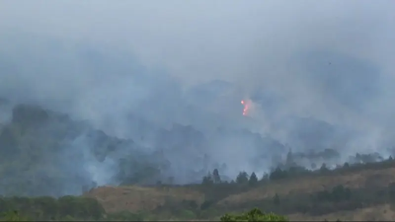 50 Hektar Hutan di Gunung Ciremai Terbakar