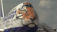 Tiger Flight