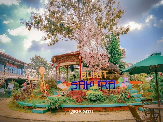 14. Bukit Sakura