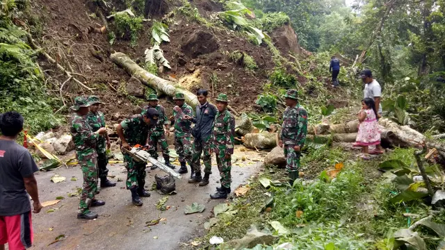 Longsor memutus jalur Malang-Lumajang (Dian Kurniawan/Liputan6.com)