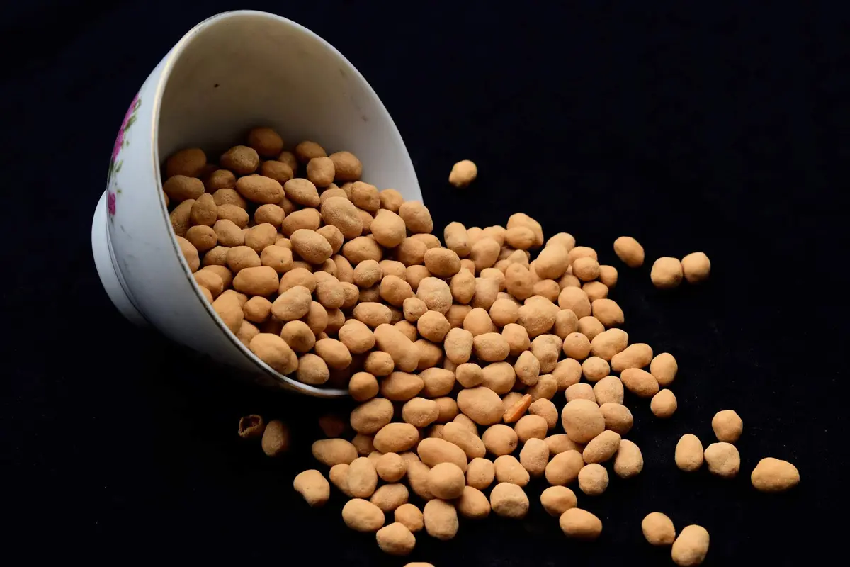 kacang telur