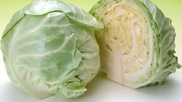 Gawat! Setelah Beras Plastik, Kali Ini China Palsukan Sayuran Kol