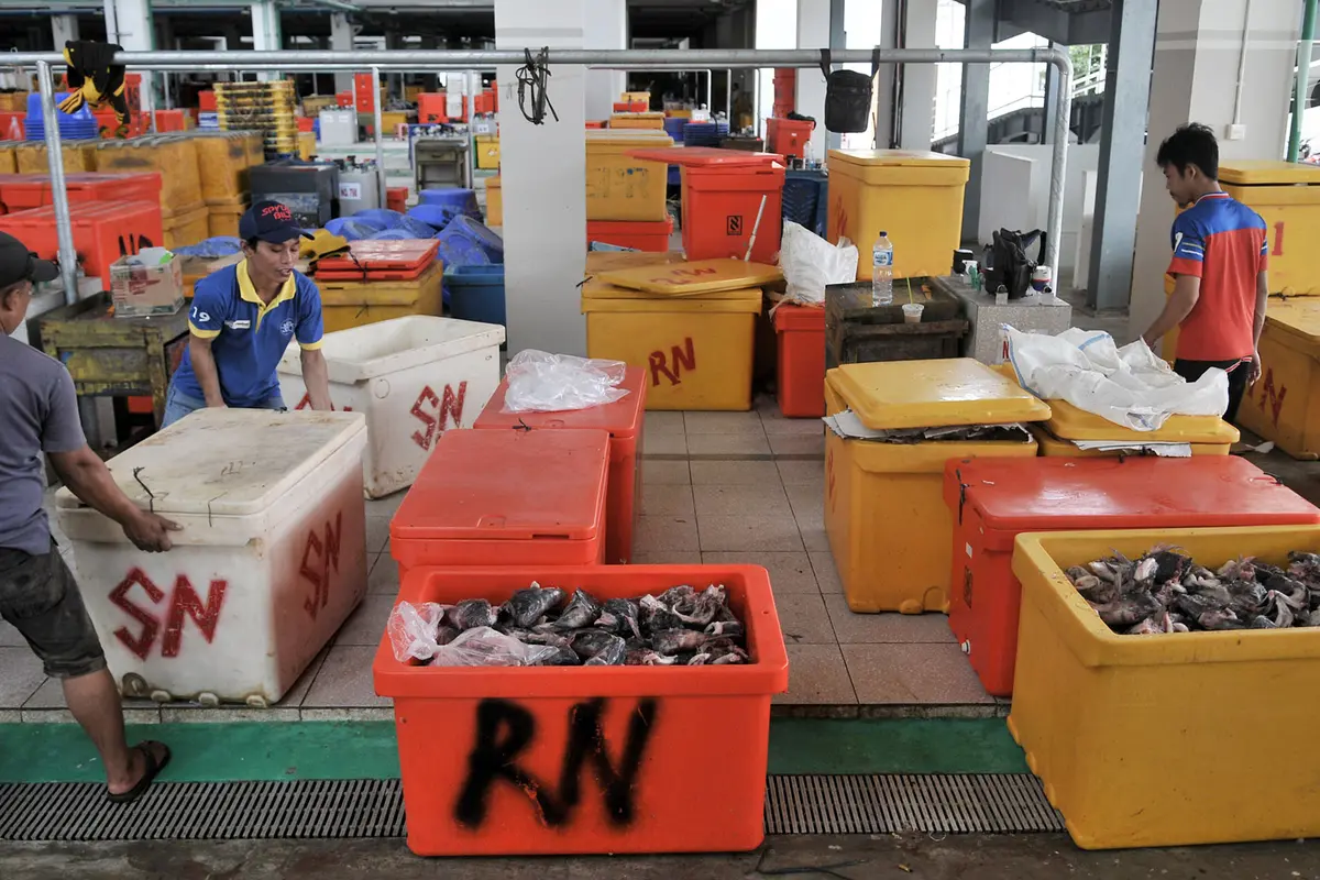 Pasar Ikan Modern Muara Baru Mulai Ditempati Pedagang