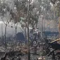 Personel Satgas Karhutla Riau memadamkan kebakaran lahan di kebun karet milik masyarakat. (Liputan6.com/M Syukur)
