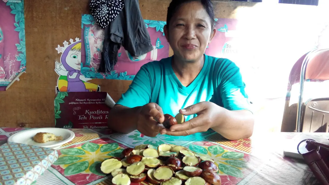 Harga Jengkol di Bengkulu Melonjak 100 Persen Usai Idul Adha